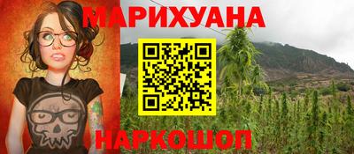 крисы Кунгур