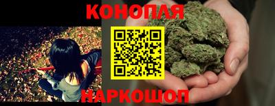 крисы Кунгур