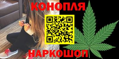 крисы Кунгур