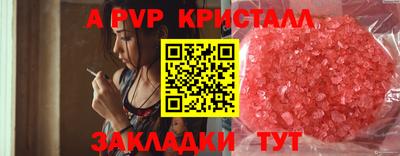 крисы Кунгур