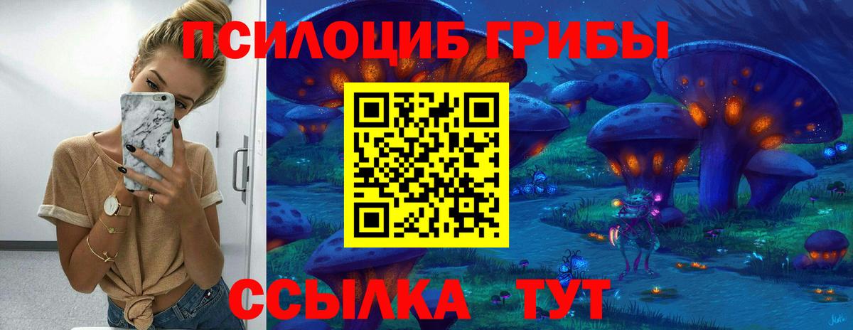 Зерноград  Галлюциногенные грибы GOLDEN TEACHER  Вход с VPN 