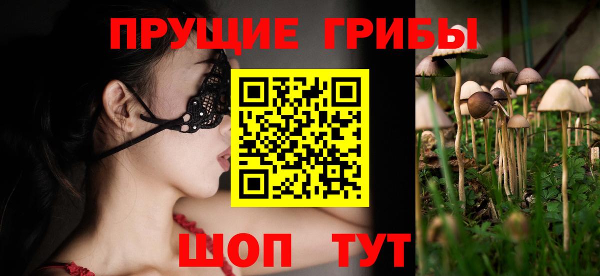 Псилоцибиновые грибы GOLDEN TEACHER Зерноград